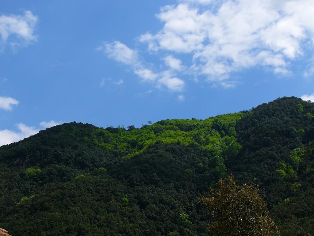 Penzion Mas Els Terrats Susqueda Exteriér fotografie