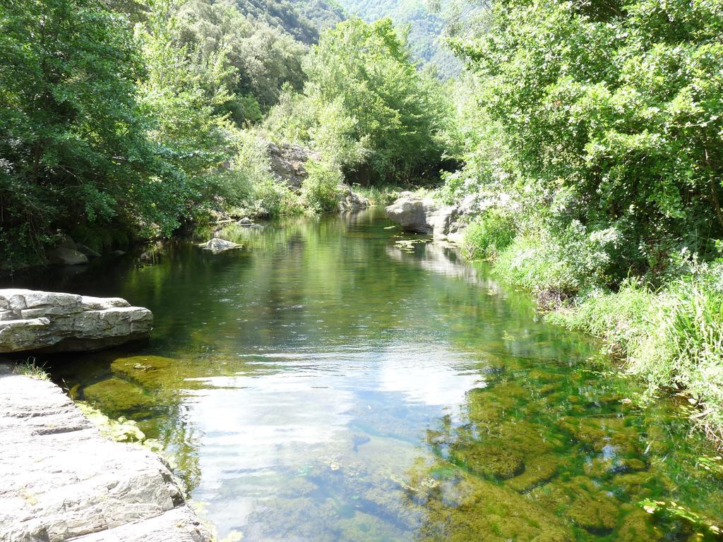 Penzion Mas Els Terrats Susqueda Exteriér fotografie